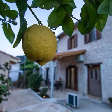 Cozy House Διαμέρισμα *